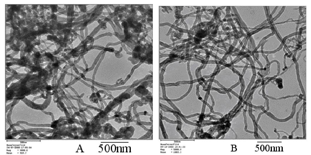 碳納米管 TEM 圖像（ A ）原始 MWCNT ；（ B ）等離子體處理 MWCNTs