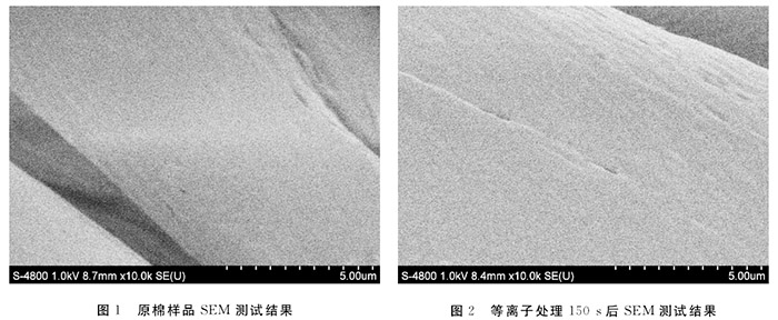 等離子處理前后棉織物表面形貌對比