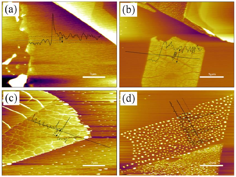 圖 3.5 低溫氧等離子體處理后單層 M o S 2 薄膜形貌圖。（a）樣品 1 # 的厚度~ 1 nm；（ b）樣品 2 # 的厚度~ 5 nm；（ c）樣品 3 # 的厚度~ 3.5 nm；（ d）樣品 4 # 的厚度~ 6 nm。