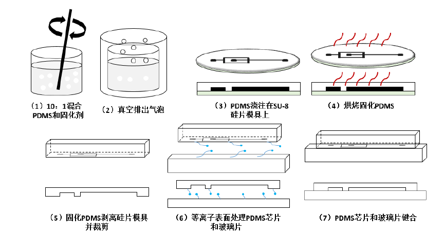 PDMS微流控芯片制作步驟