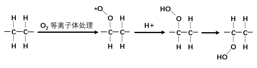 O2等離子體處理后的PET薄膜的表面變化